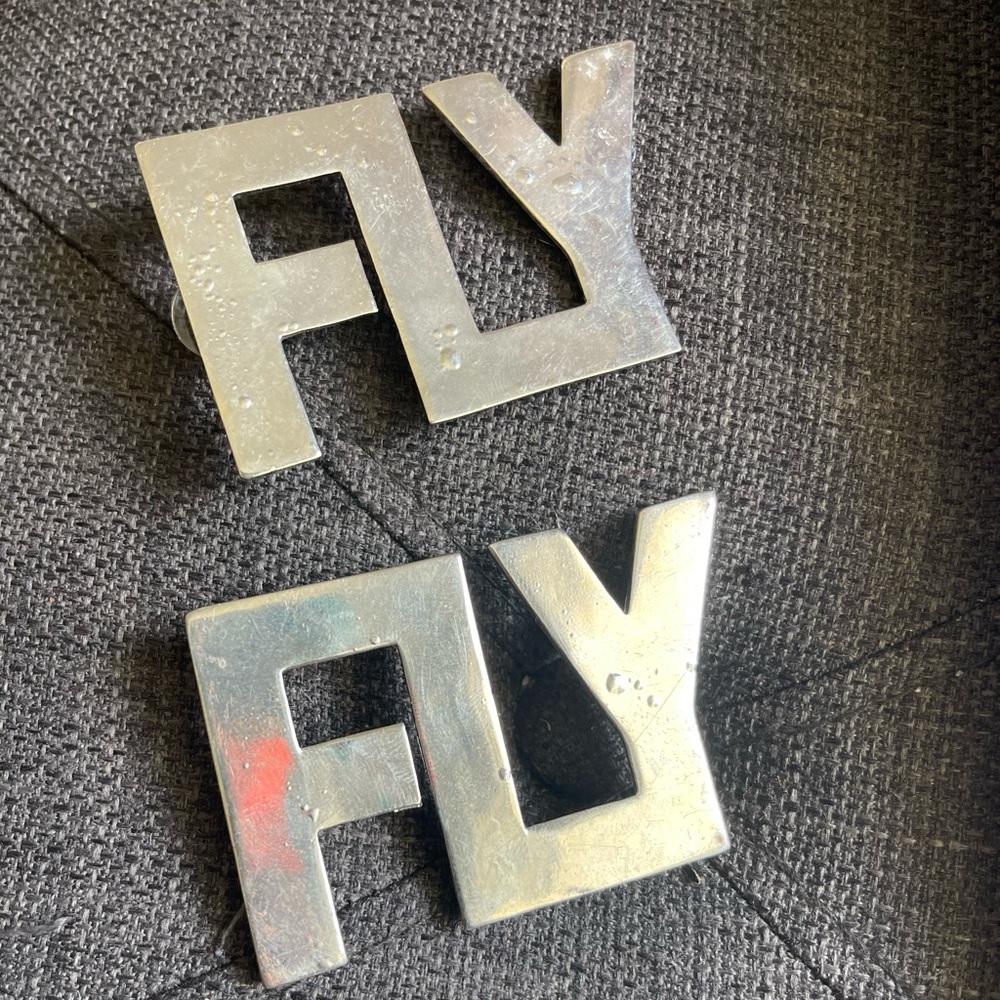 Silver FLY earrings
